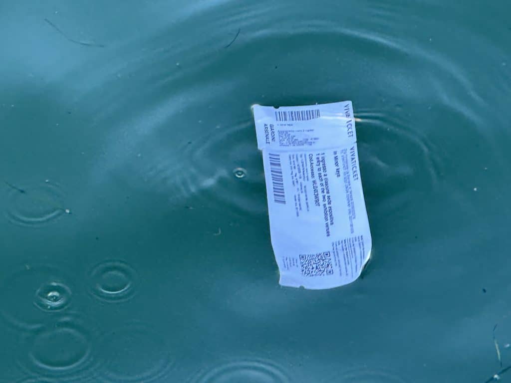 Ripple